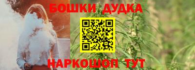 мдпв Ефремов