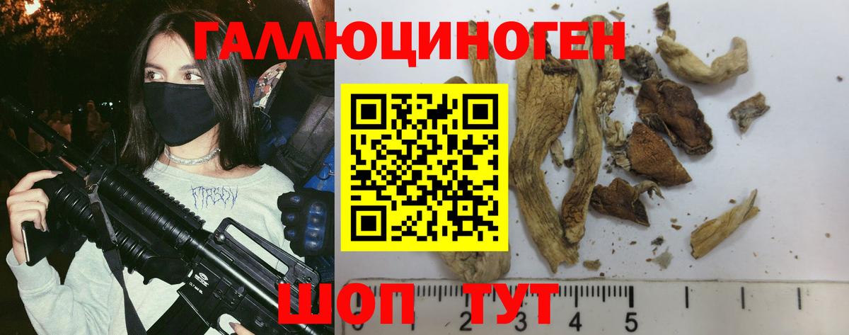 Бор  Галлюциногенные грибы Cubensis  Вход с VPN 